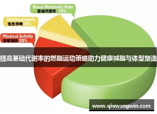 提高基础代谢率的燃脂运动策略助力健康减脂与体型塑造